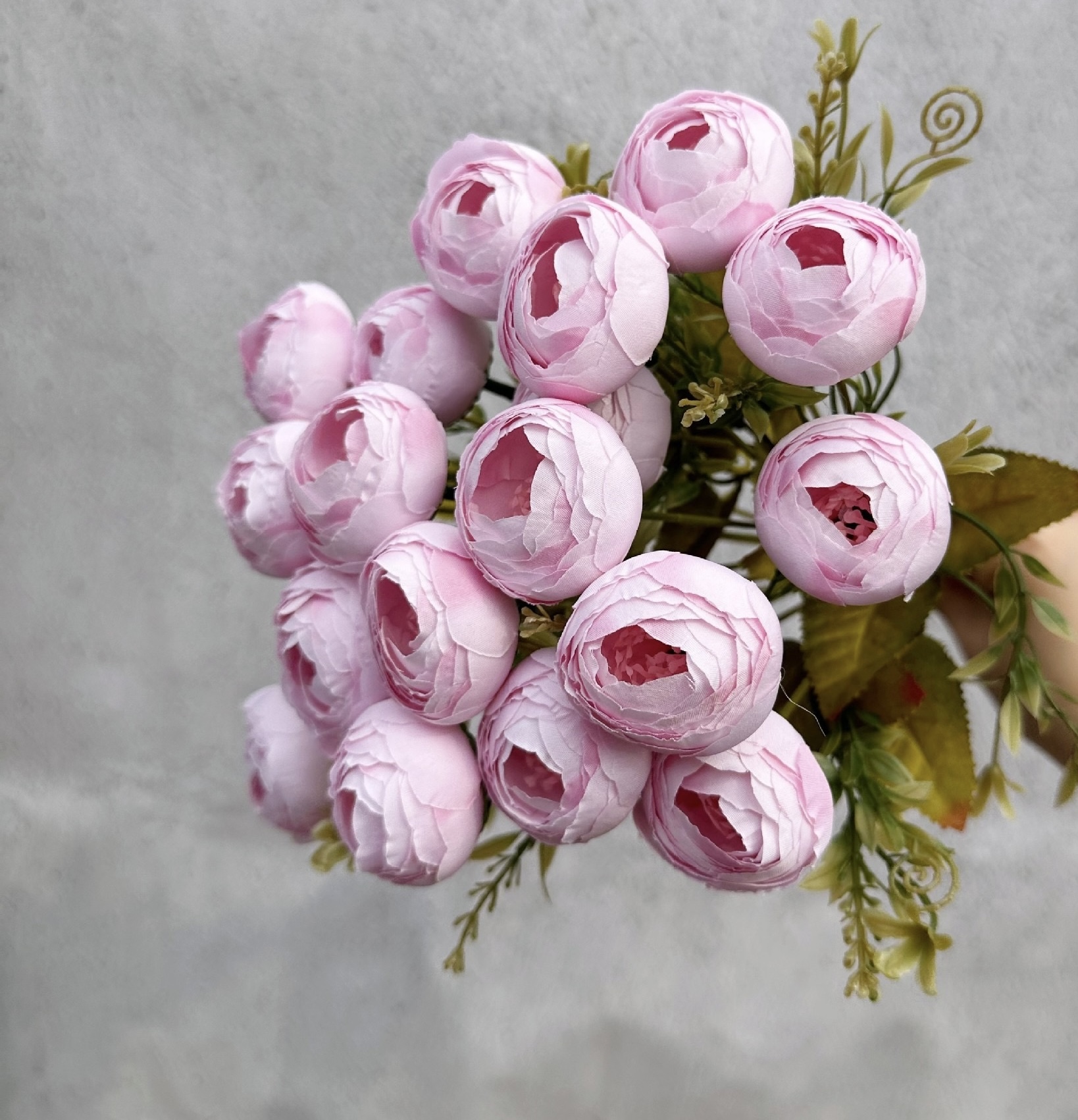 18 HEAD TEA ROSE / ROSE BUDS