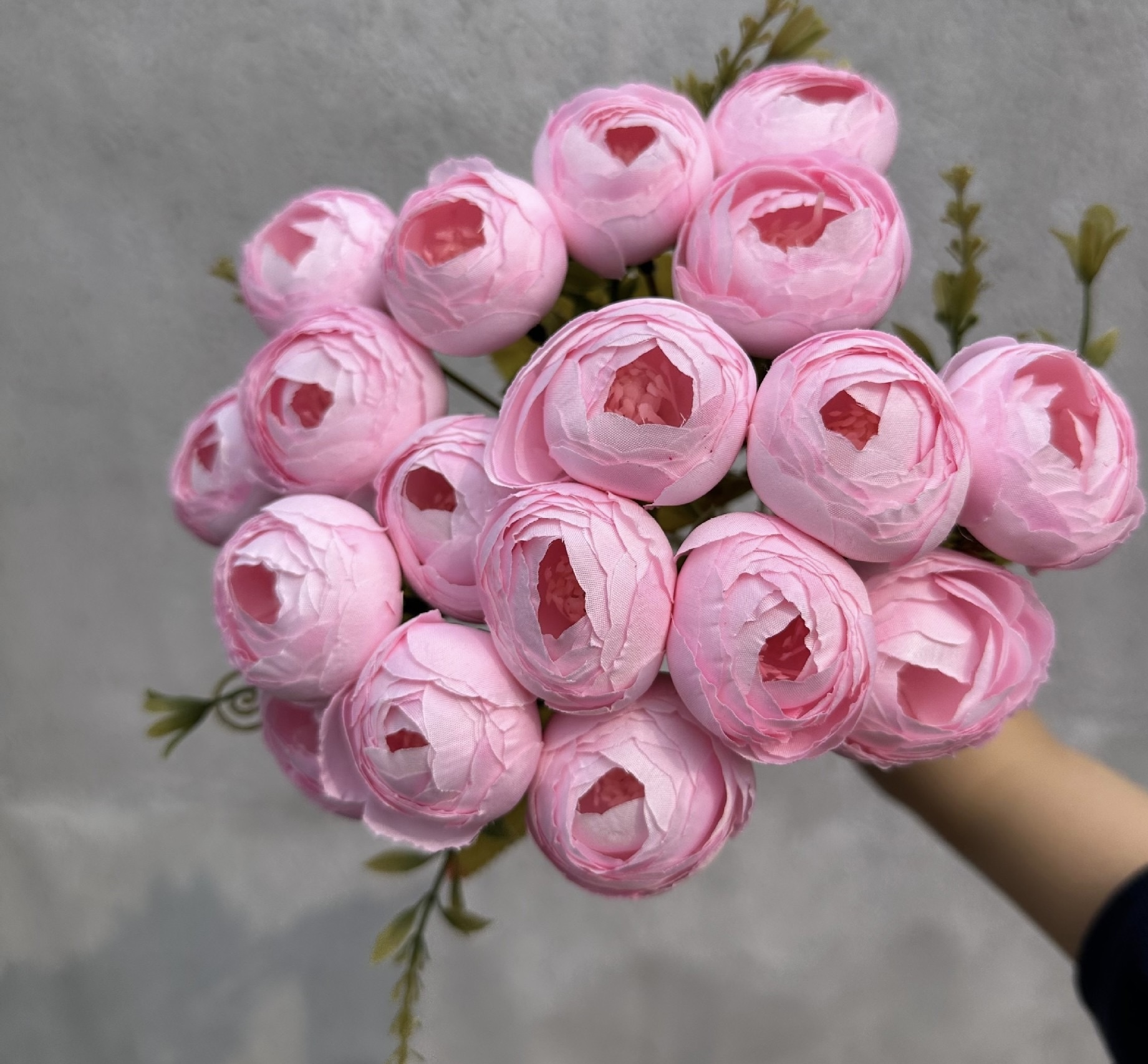 18 HEAD TEA ROSE / ROSE BUDS