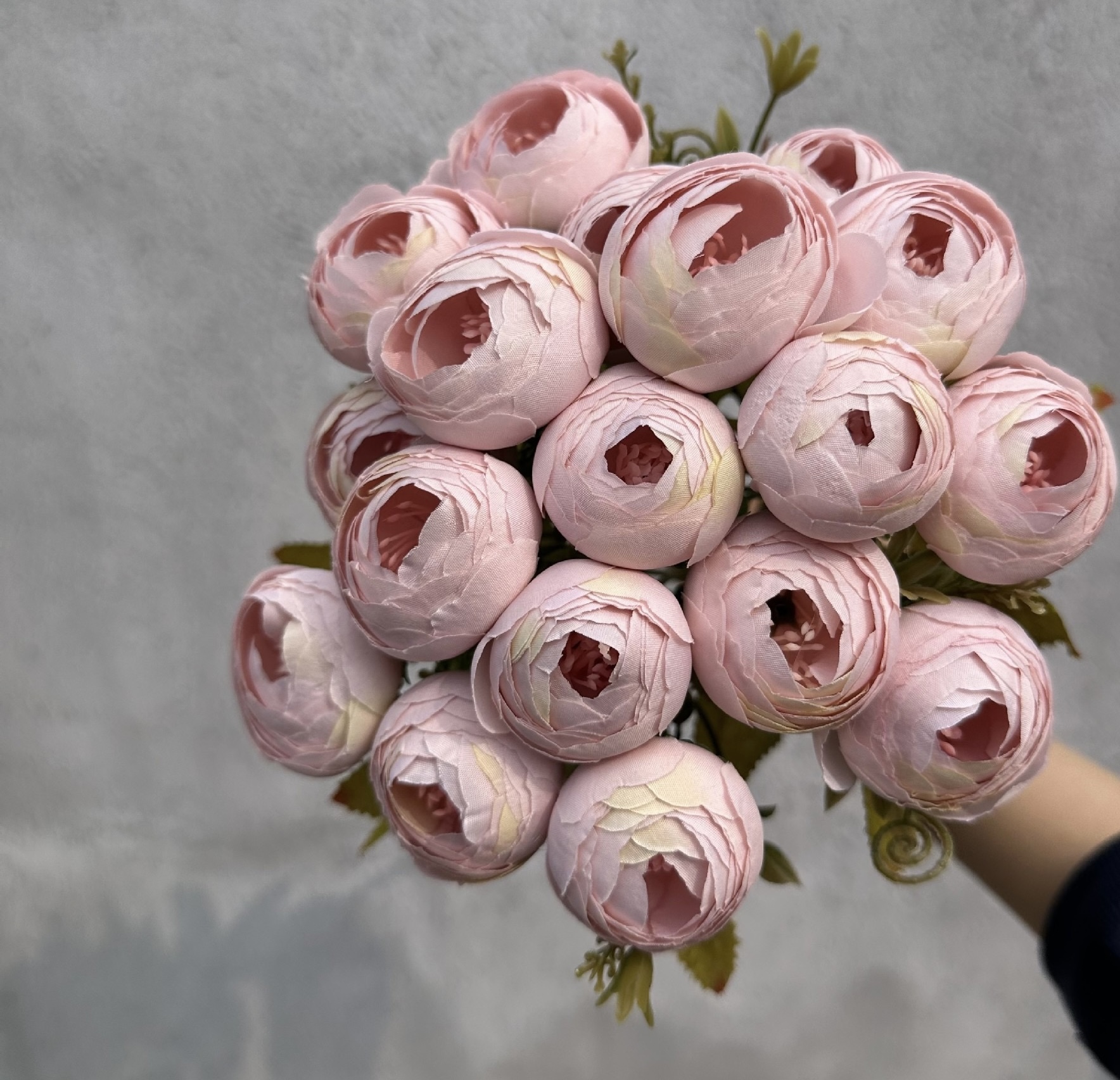 18 HEAD TEA ROSE / ROSE BUDS