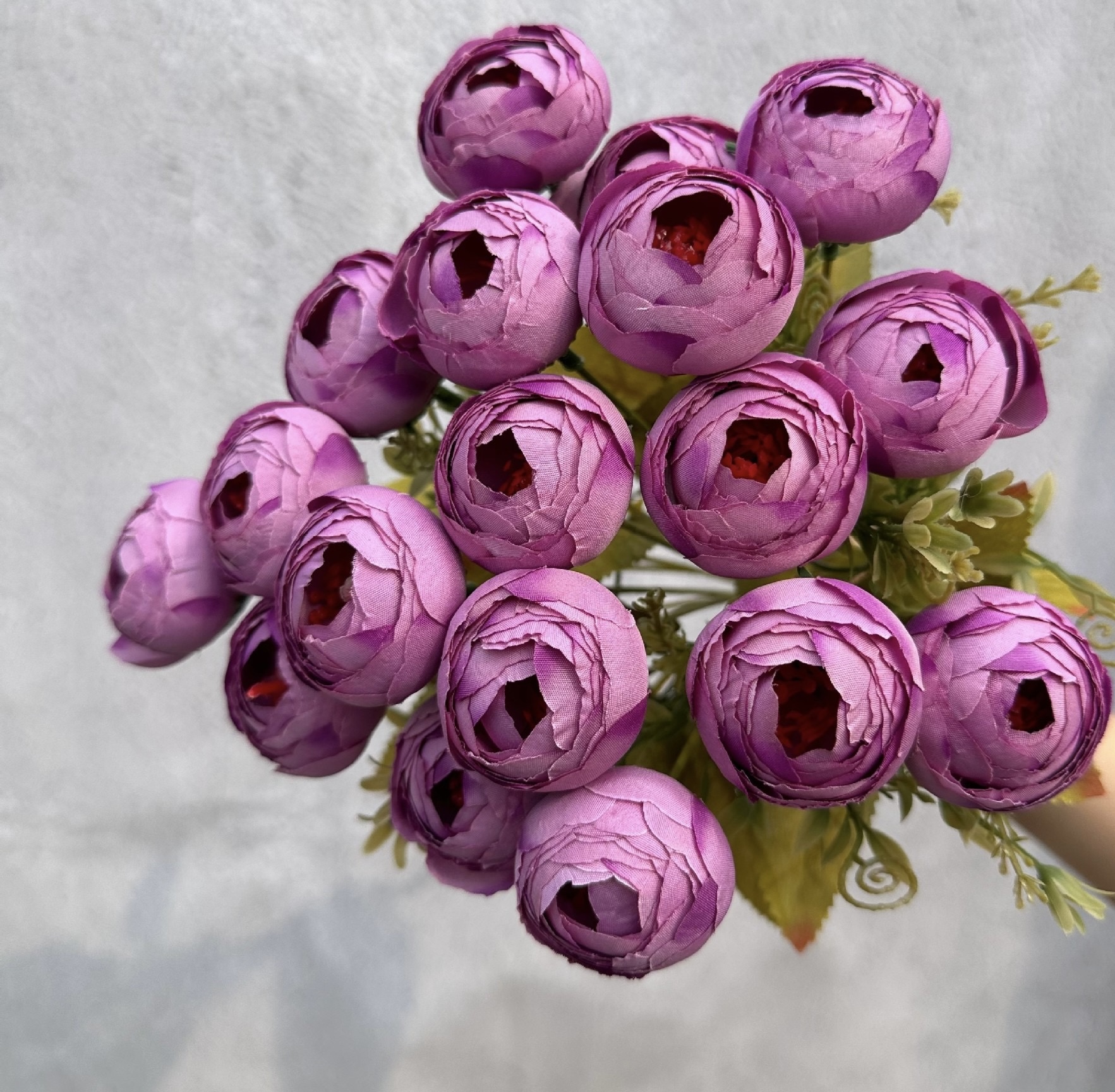 18 HEAD TEA ROSE / ROSE BUDS