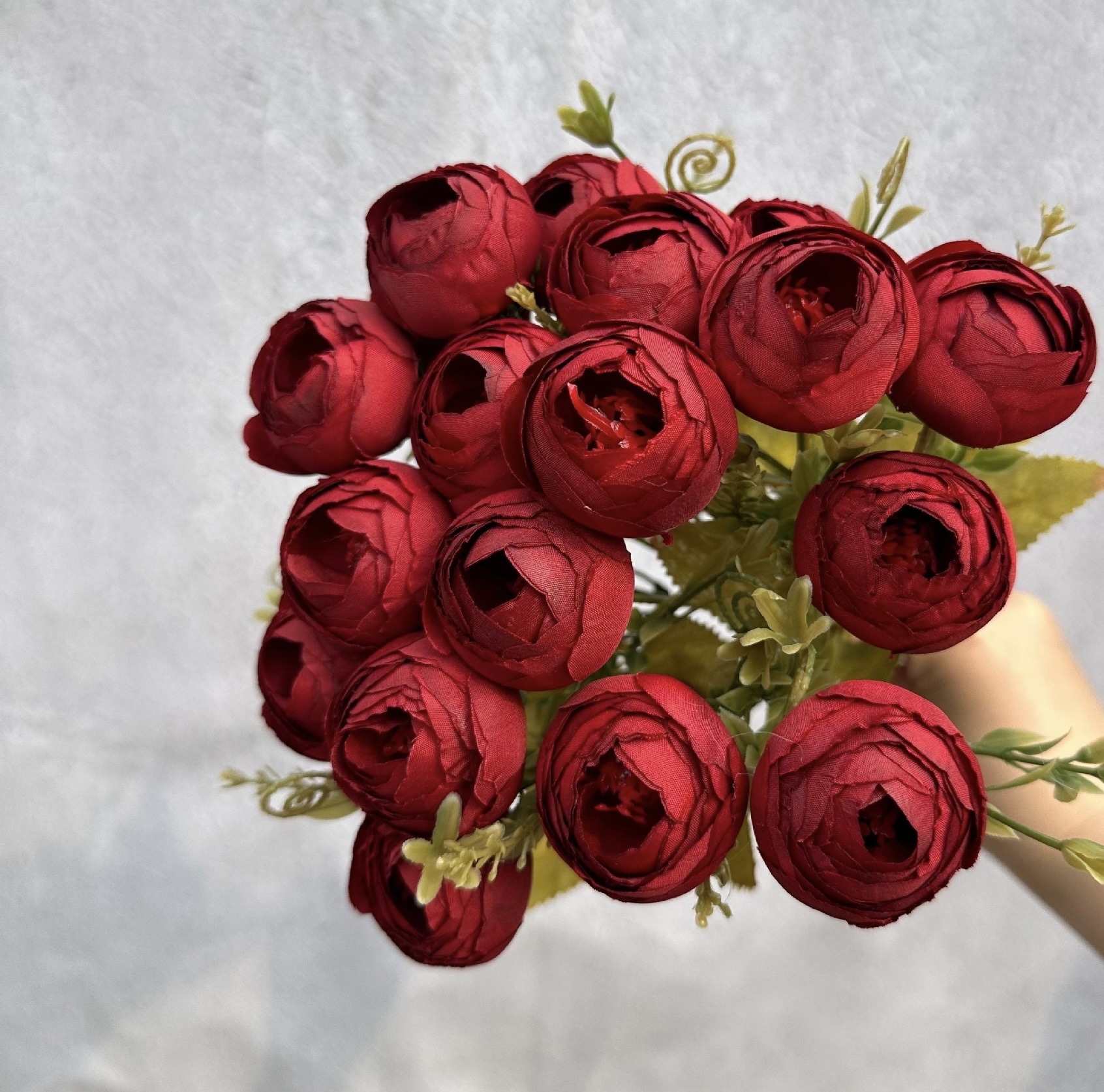 18 HEAD TEA ROSE / ROSE BUDS