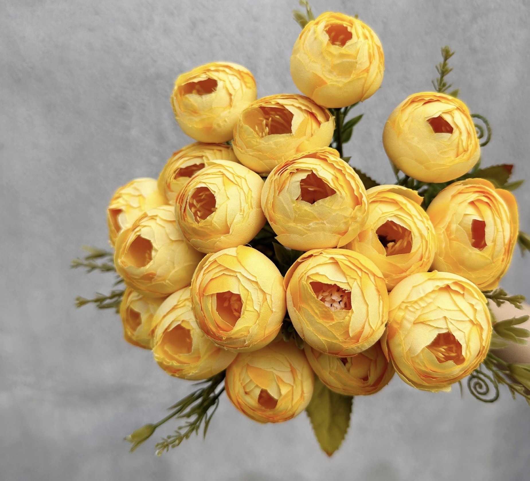 18 HEAD TEA ROSE / ROSE BUDS