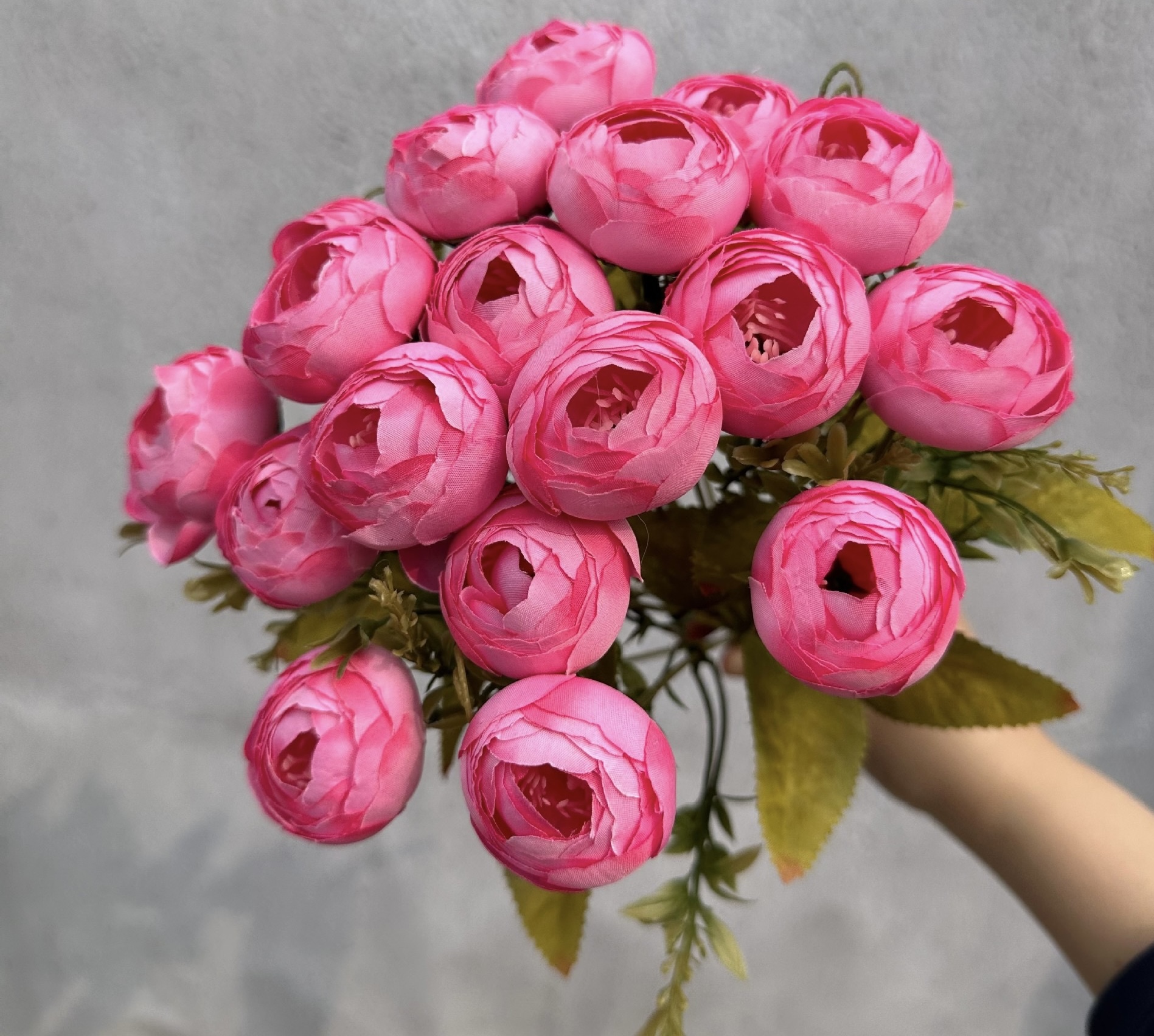 18 HEAD TEA ROSE / ROSE BUDS