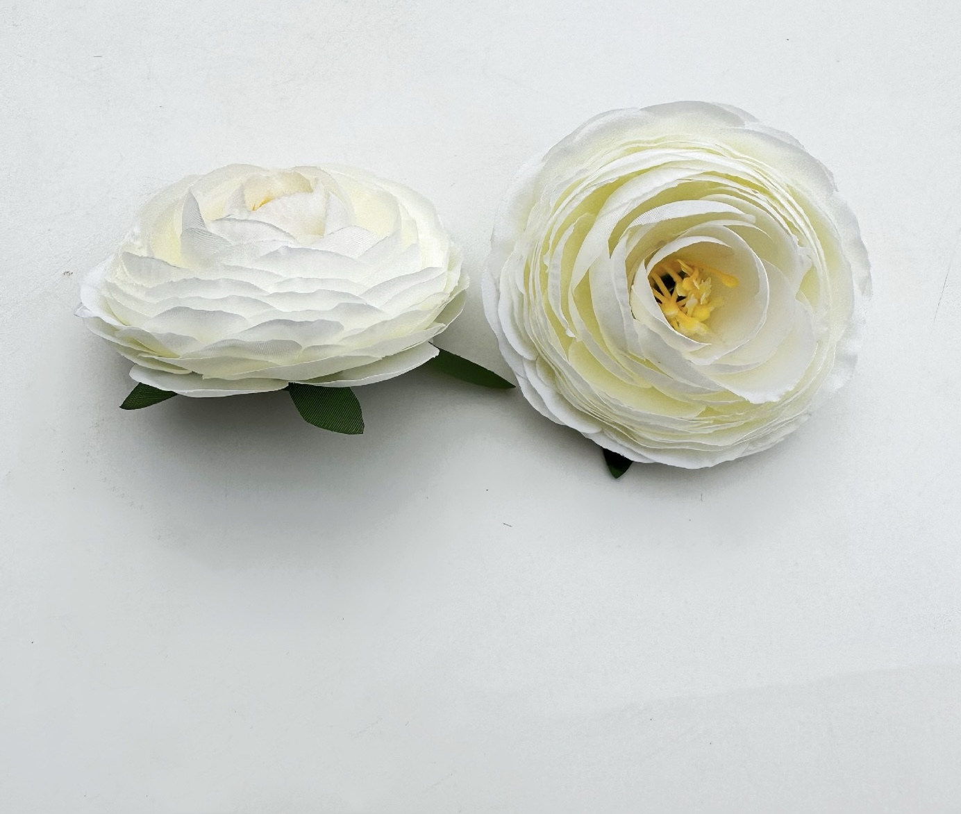 RANUNCULUS HEAD FLOWER