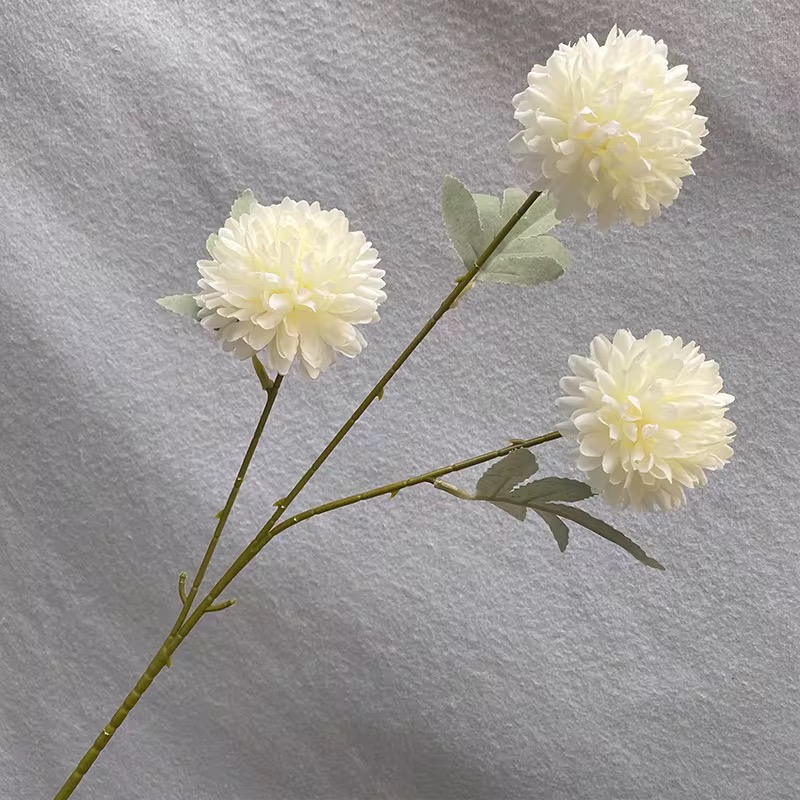 3 HEAD CHRYSANTHEMUM
