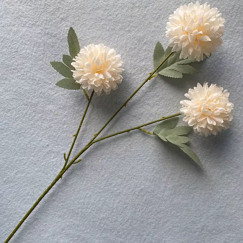 3 HEAD CHRYSANTHEMUM