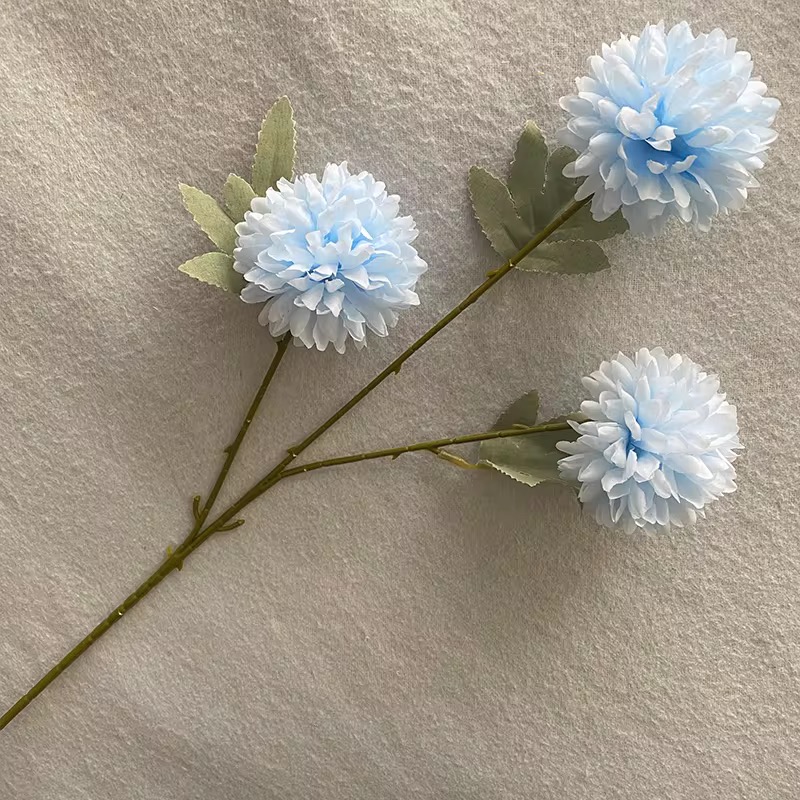 3 HEAD CHRYSANTHEMUM