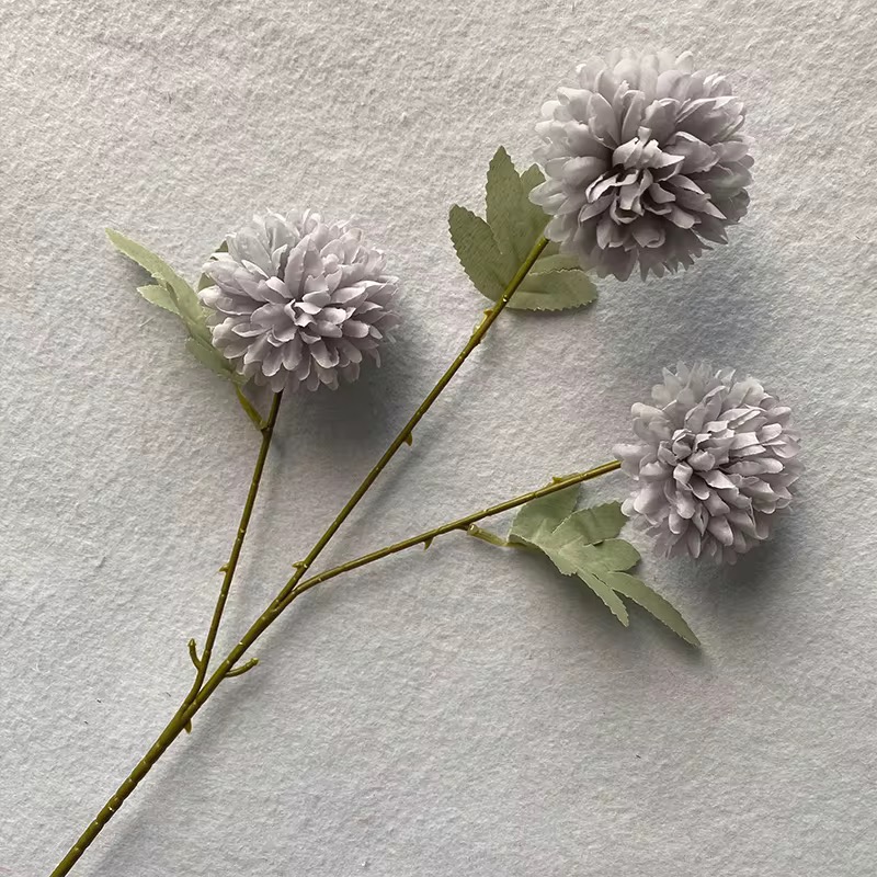 3 HEAD CHRYSANTHEMUM