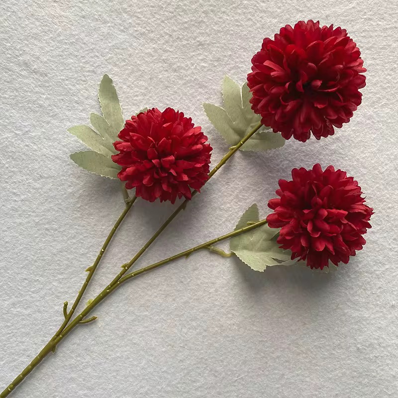 3 HEAD CHRYSANTHEMUM