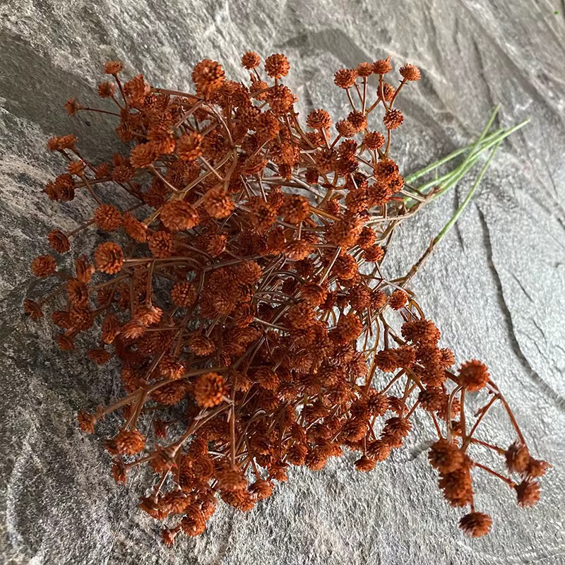 PLASTIC GYPSOPHILA BUNCH