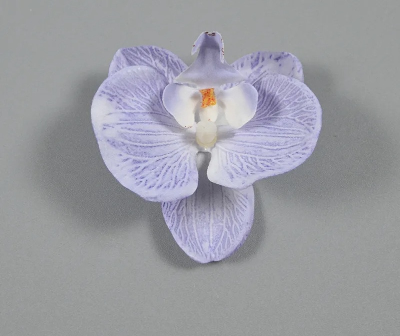 SINGLE ORCHID FLOWER