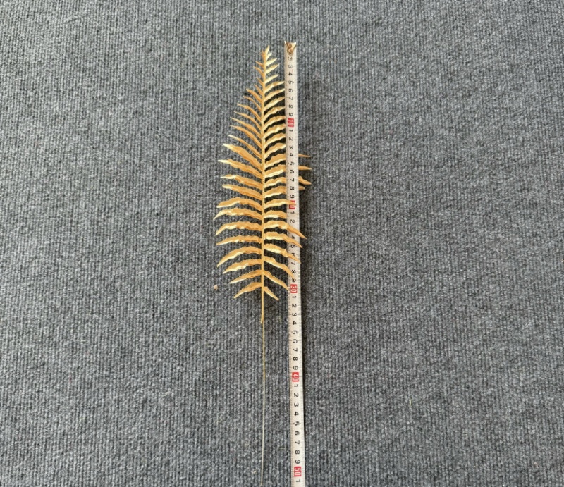 GOLDEN FERN LEAF