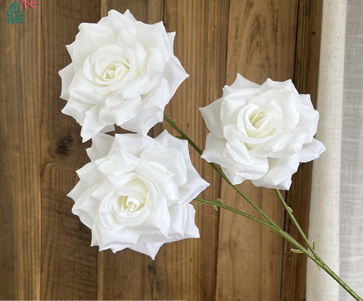 Star Rose
