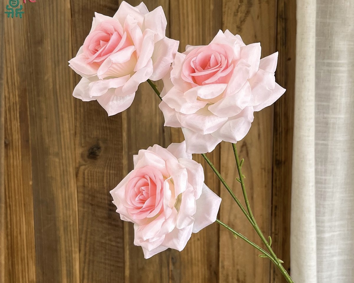 Star Rose