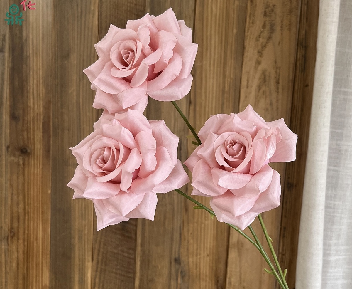 Star Rose
