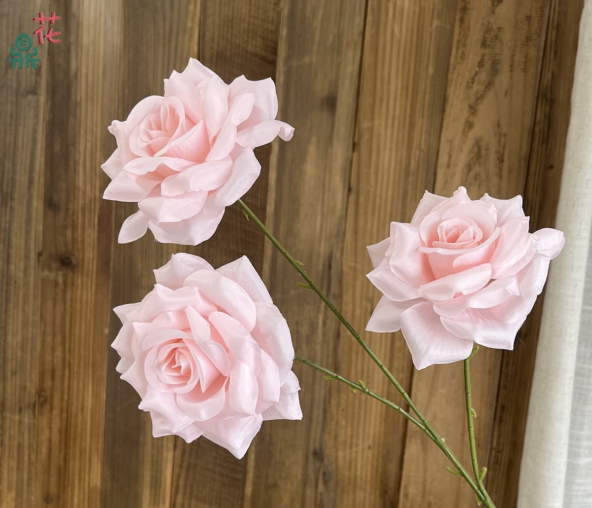 Star Rose