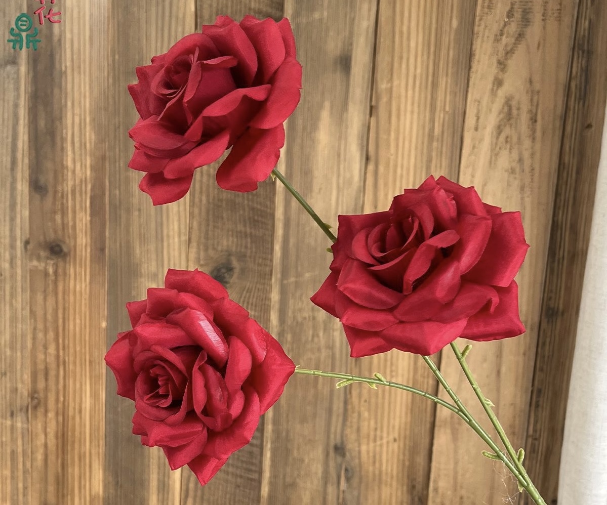 Star Rose