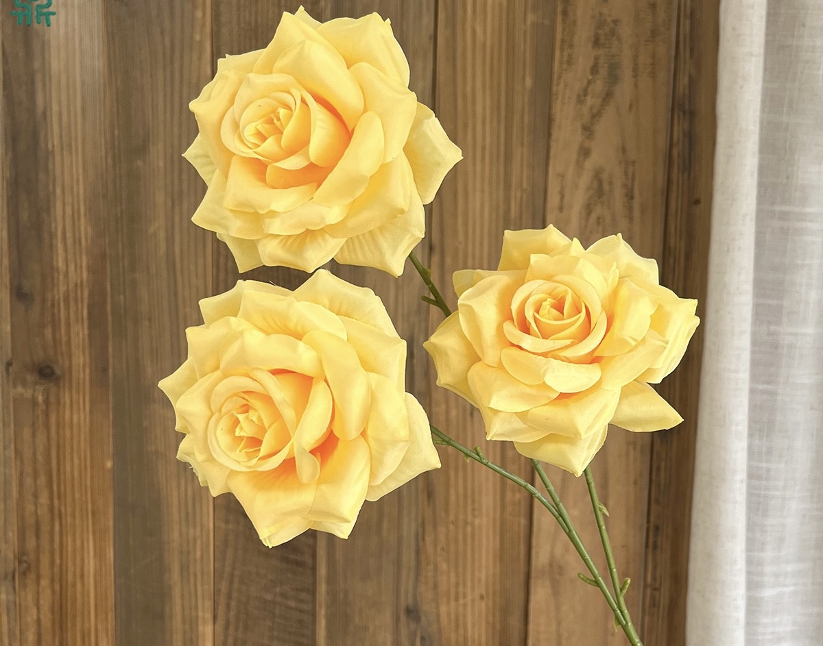 Star Rose