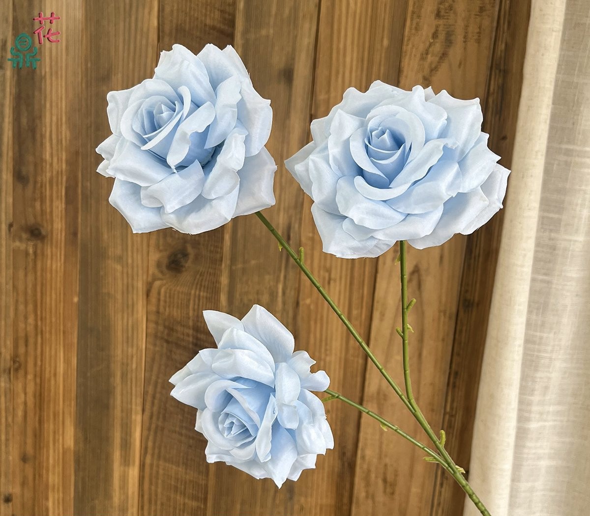 Star Rose