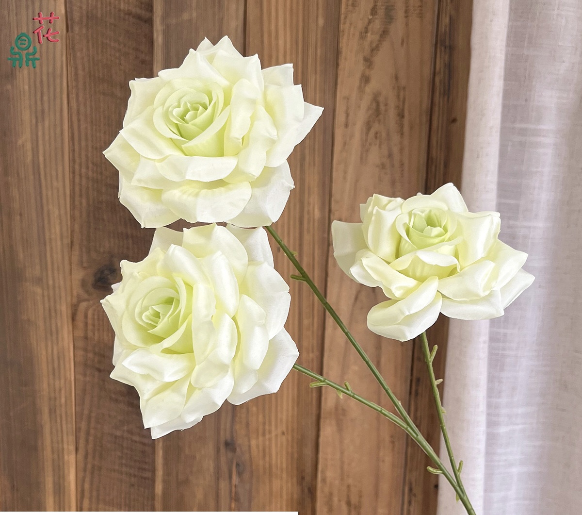 Star Rose