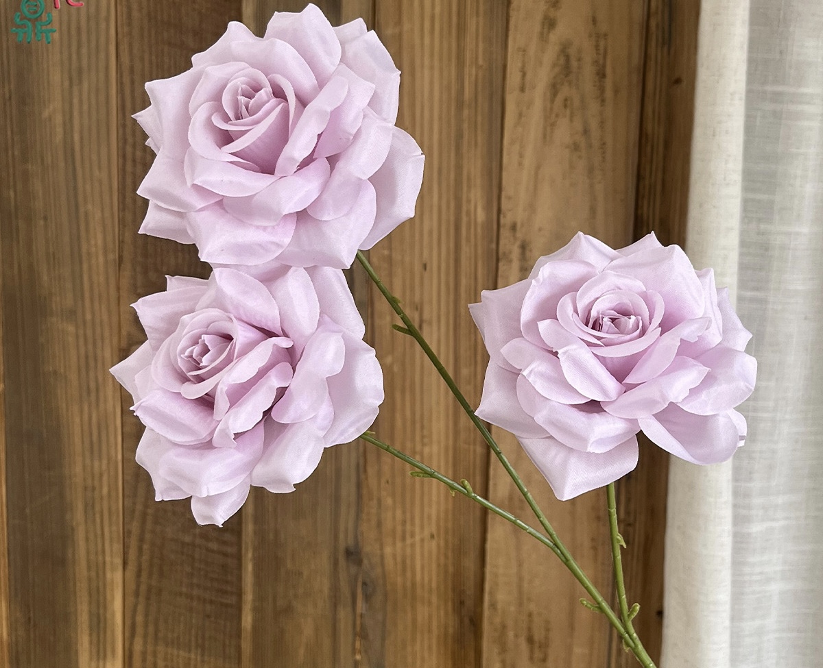 Star Rose