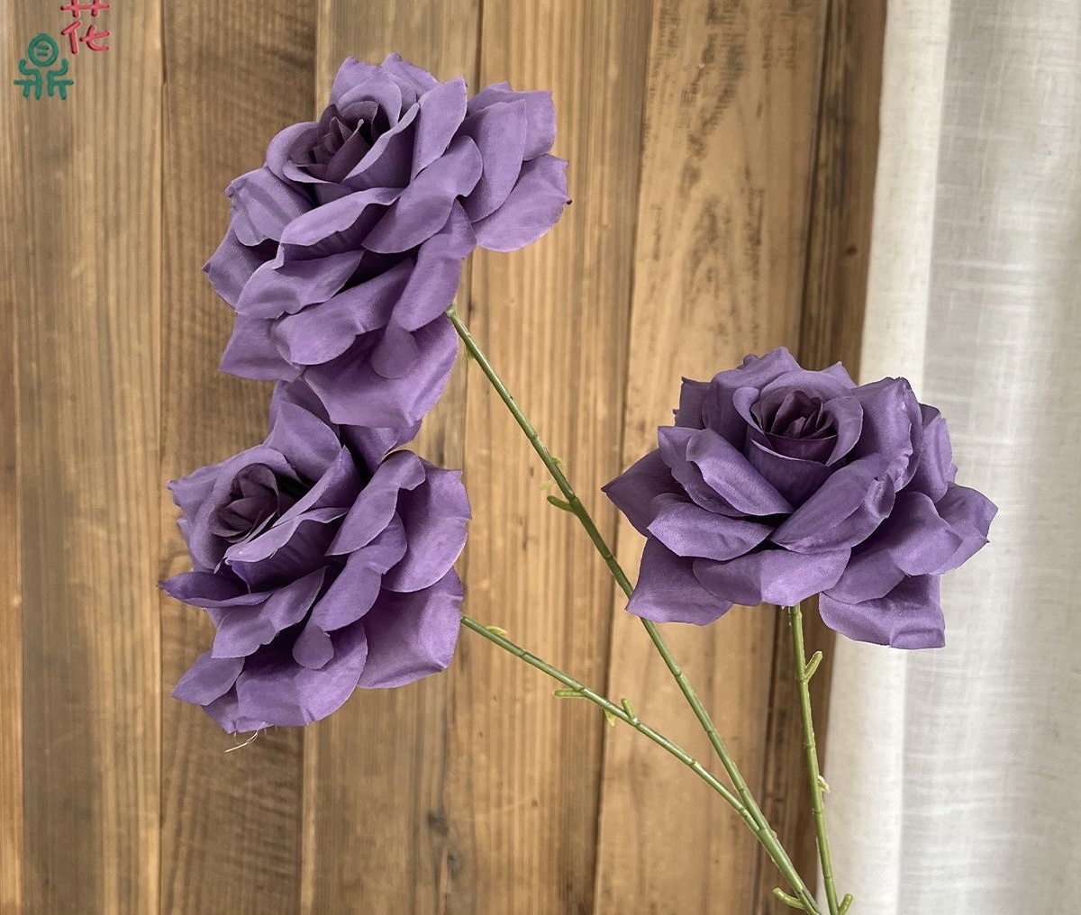 Star Rose