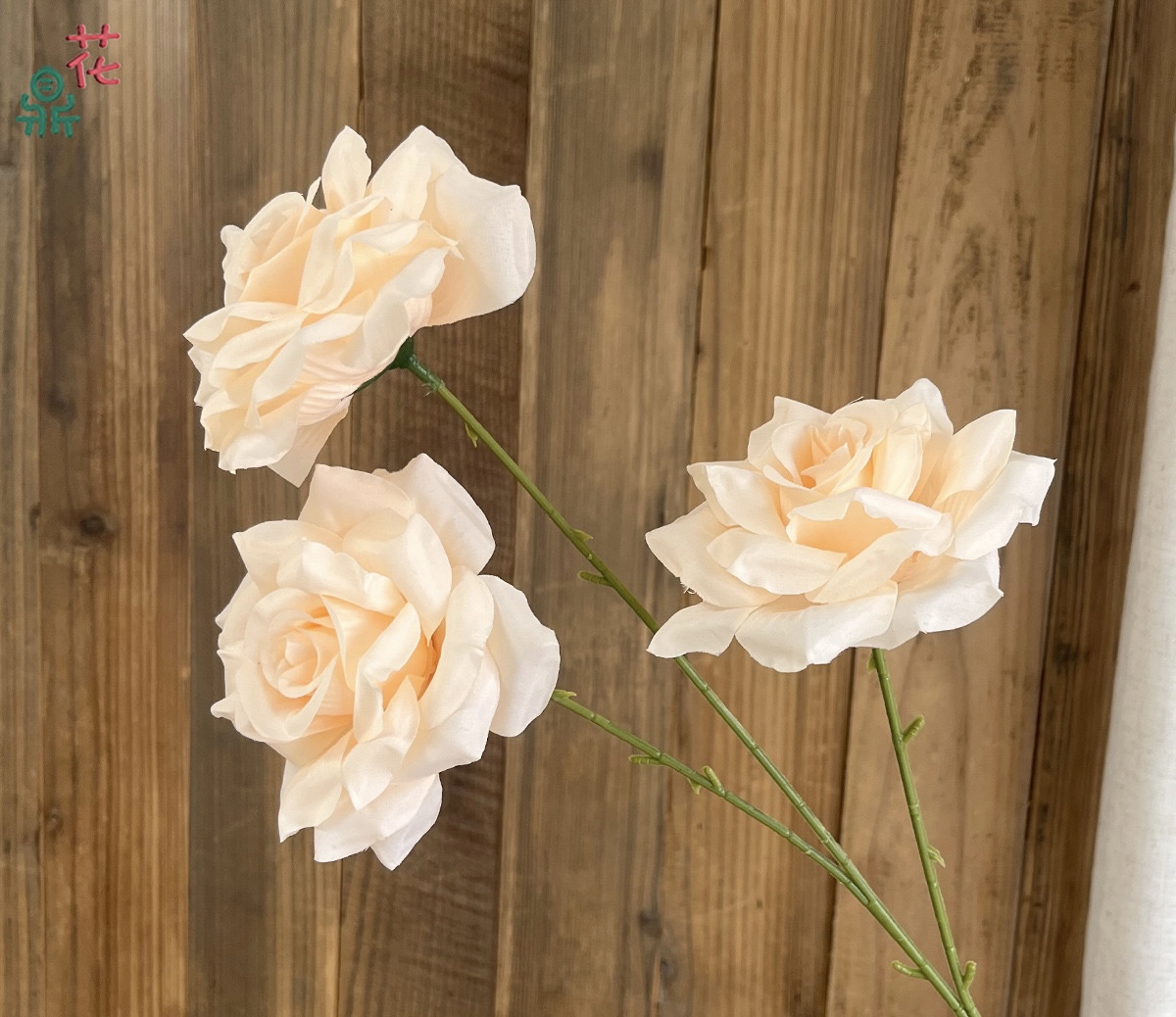 Star Rose