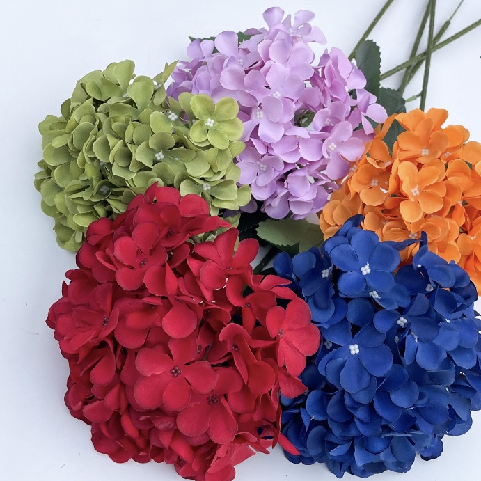 Hydrangeas Bunch