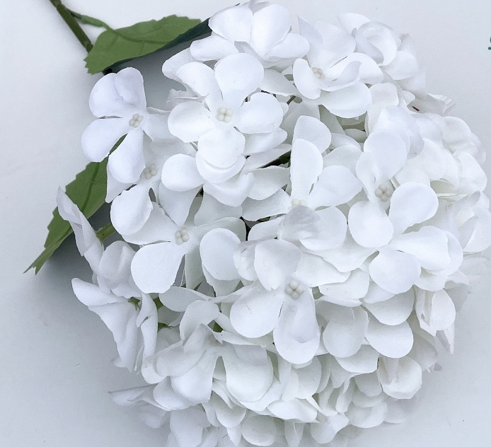 Hydrangeas Bunch