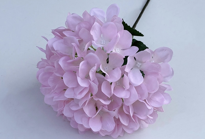 Hydrangeas Bunch