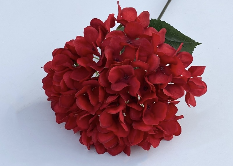 Hydrangeas Bunch