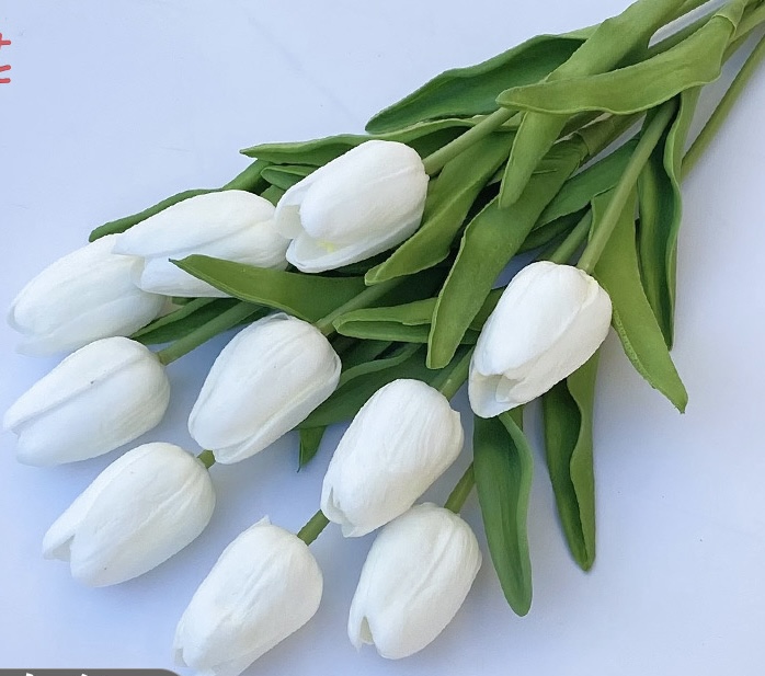 Tulip