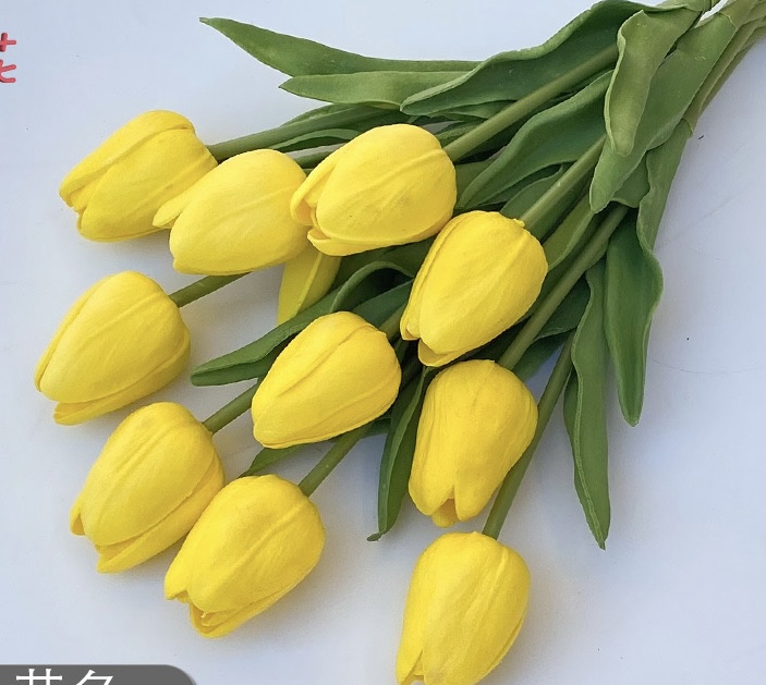 Tulip