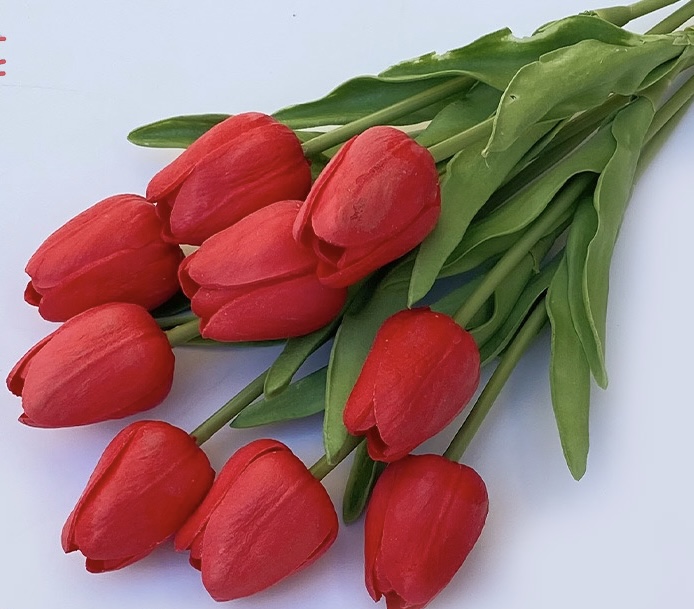 Tulip