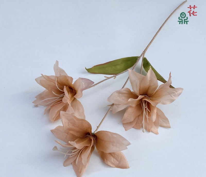 Lily wire lotus