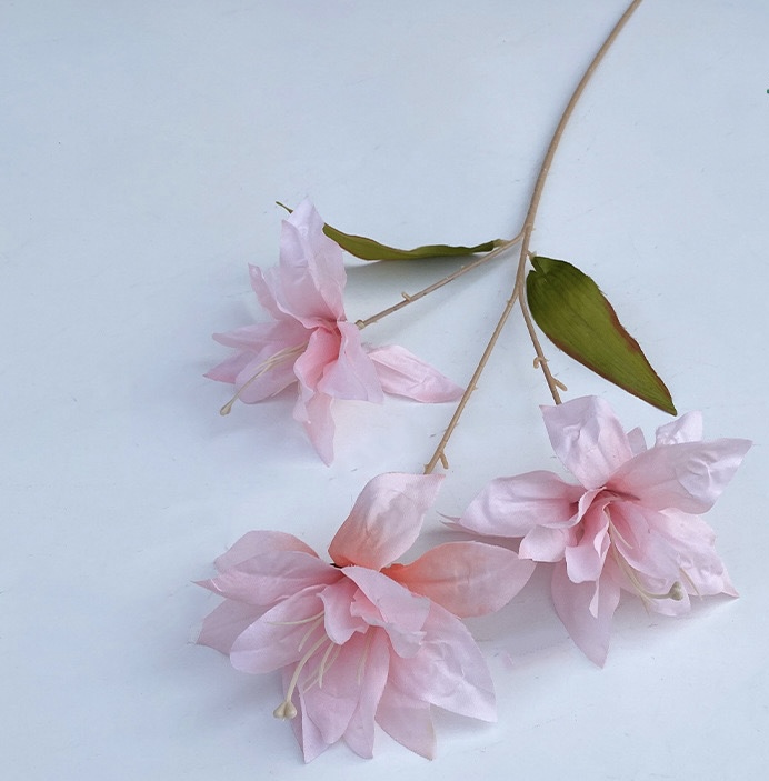 Lily wire lotus