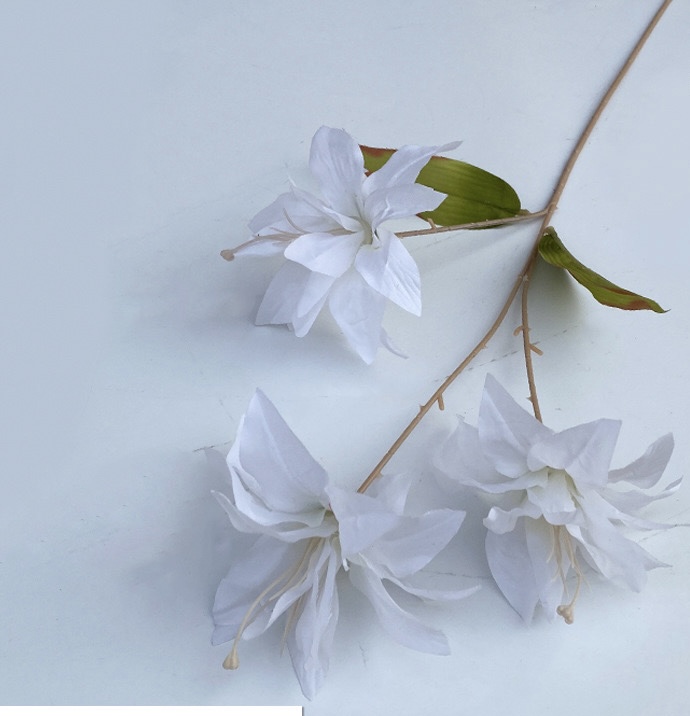 Lily wire lotus