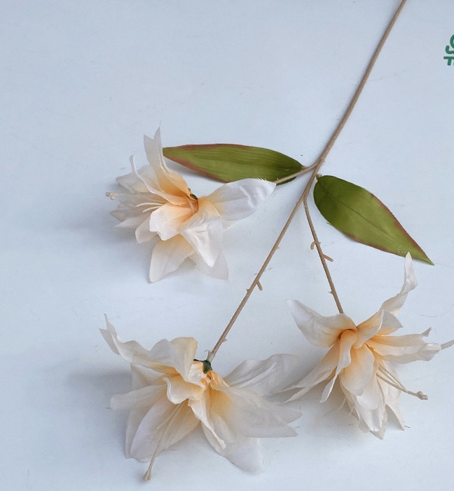 Lily wire lotus