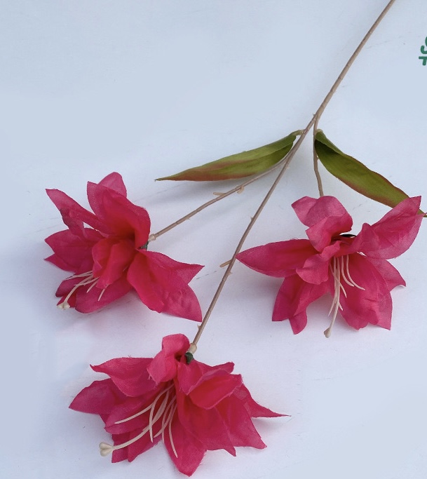 Lily wire lotus