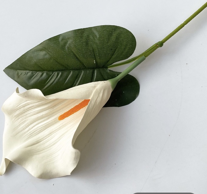 Calla Lily