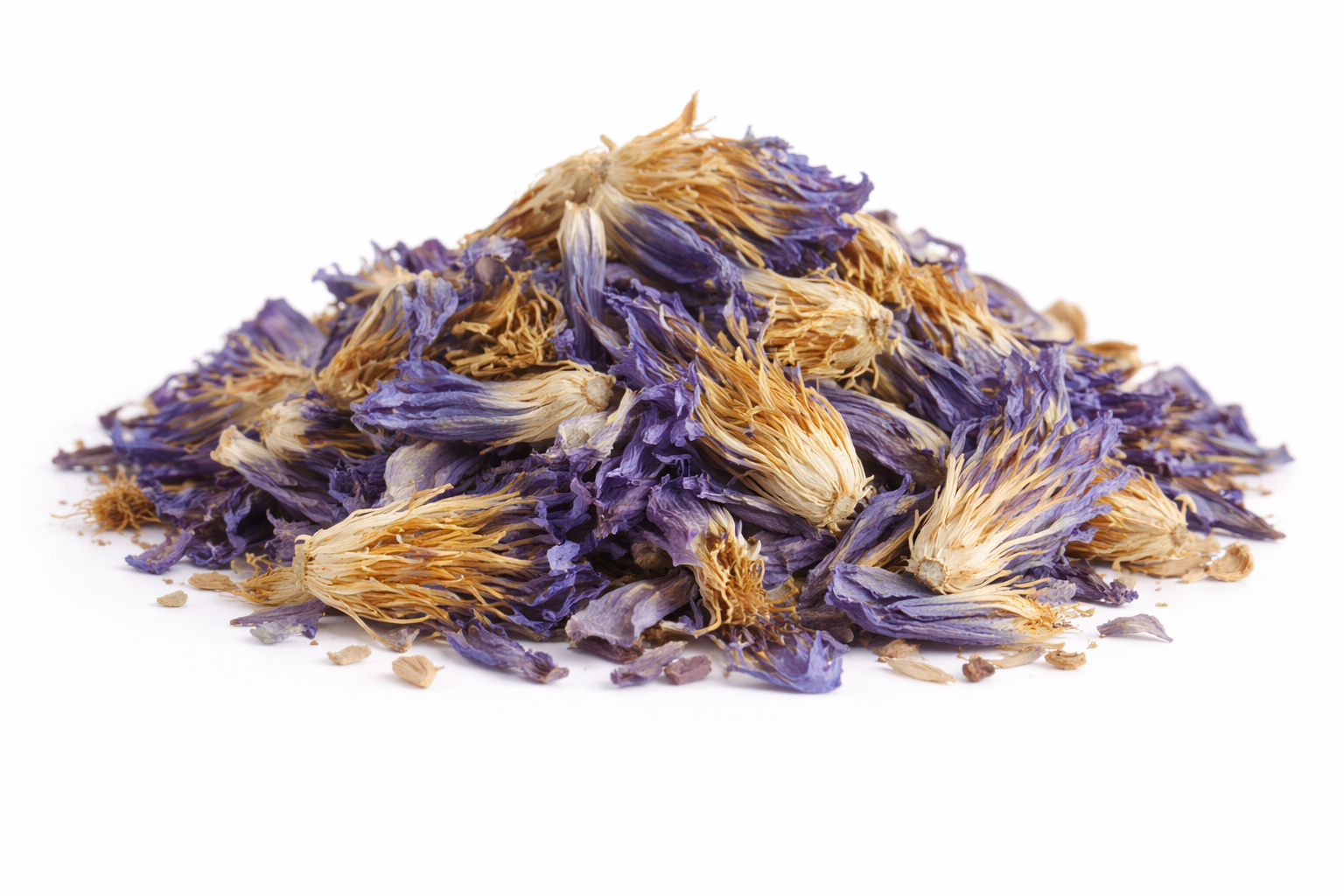 Egyptian Blue Lotus Flower