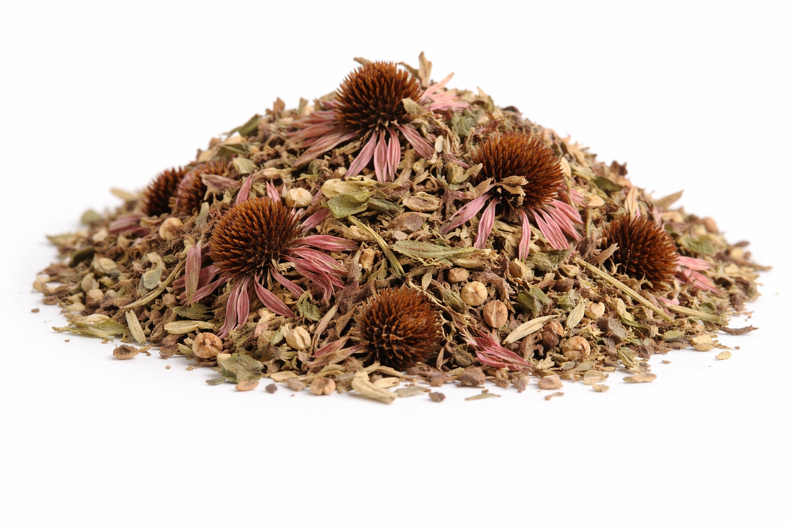 Echinacea