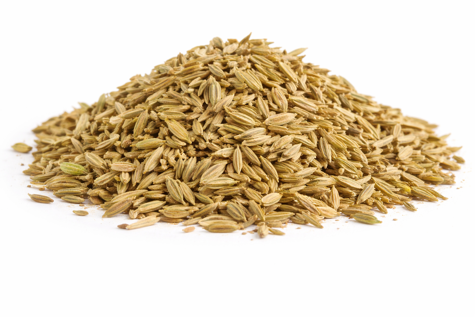 Organic Fennel Seed