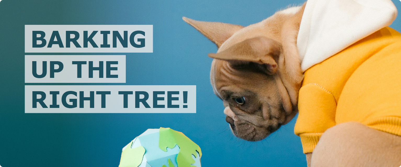 A characterful French Bulldog looking inquisitively at a small origami model of the world sitting next to text that reads ‘barking up the right tree’. 