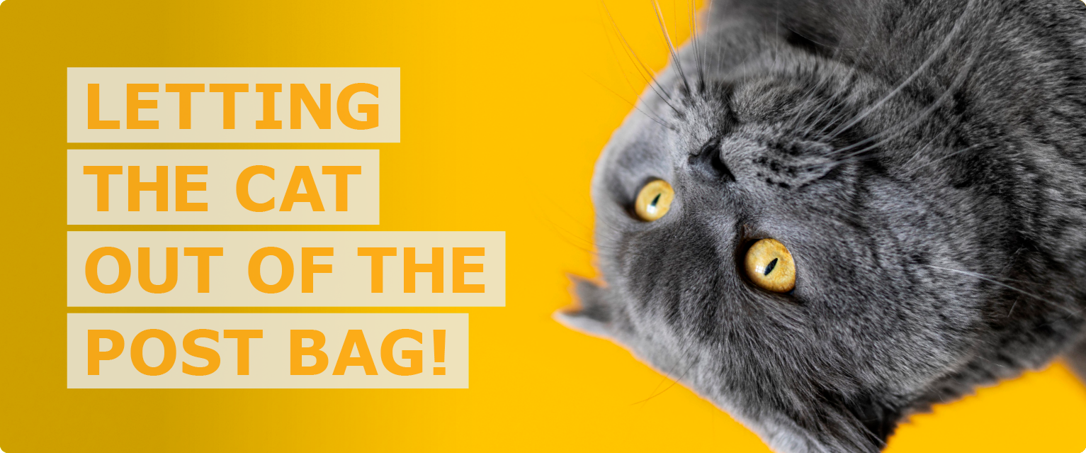 Upside down cat peers inquisitively in from top of image looking at text that reads ‘Letting the cat out of the post bag’.