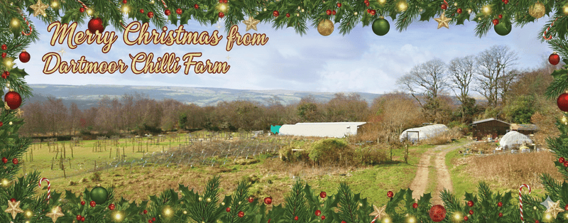 Merry Christmas from Dartmoor chilli farm 
