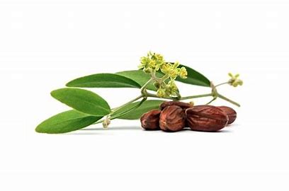 extra product image