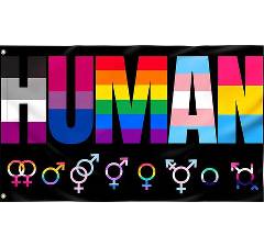 category main image header