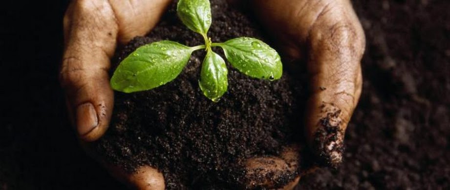 category main image header