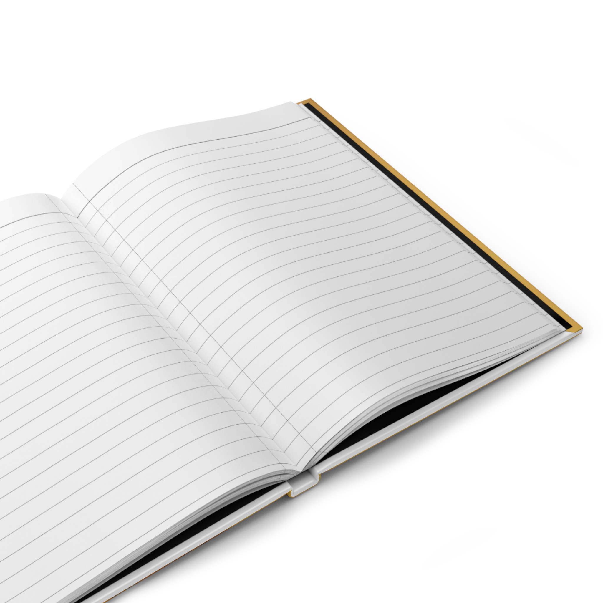 I didn't do it Journal
